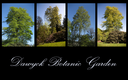 Dawyck Gardens